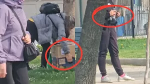 Rescatista denuncia desaparición de palomas en plazas de la Región Metropolitana: "Hay un restaurante que las compra"