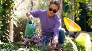 Primavera en Chile: tres plantas que debes tener sí o sí en tu jardín durante octubre