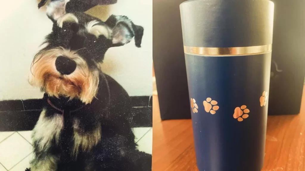 Claudio Valenzuela 2