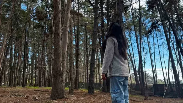 "La de limpiar la cocina no se la sabe": exchica reality se llena de críticas por particular detalle