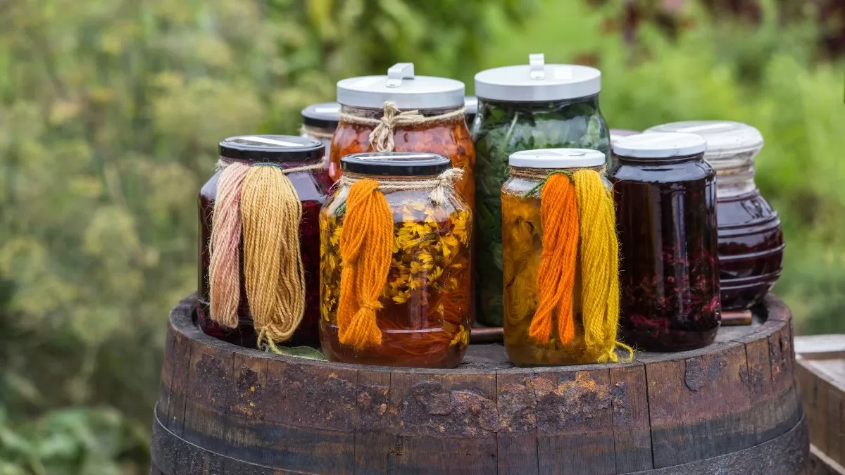 Cómo Teñir Ropa Con Plantas (1)