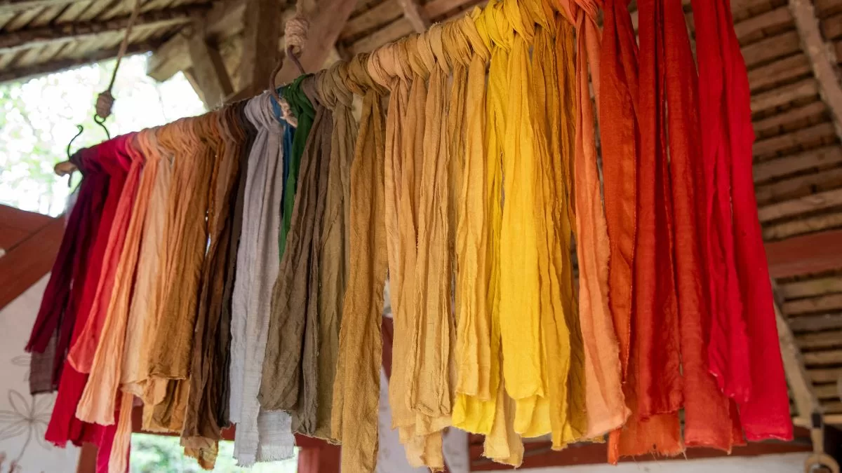 Cómo Teñir Ropa Con Plantas (2)