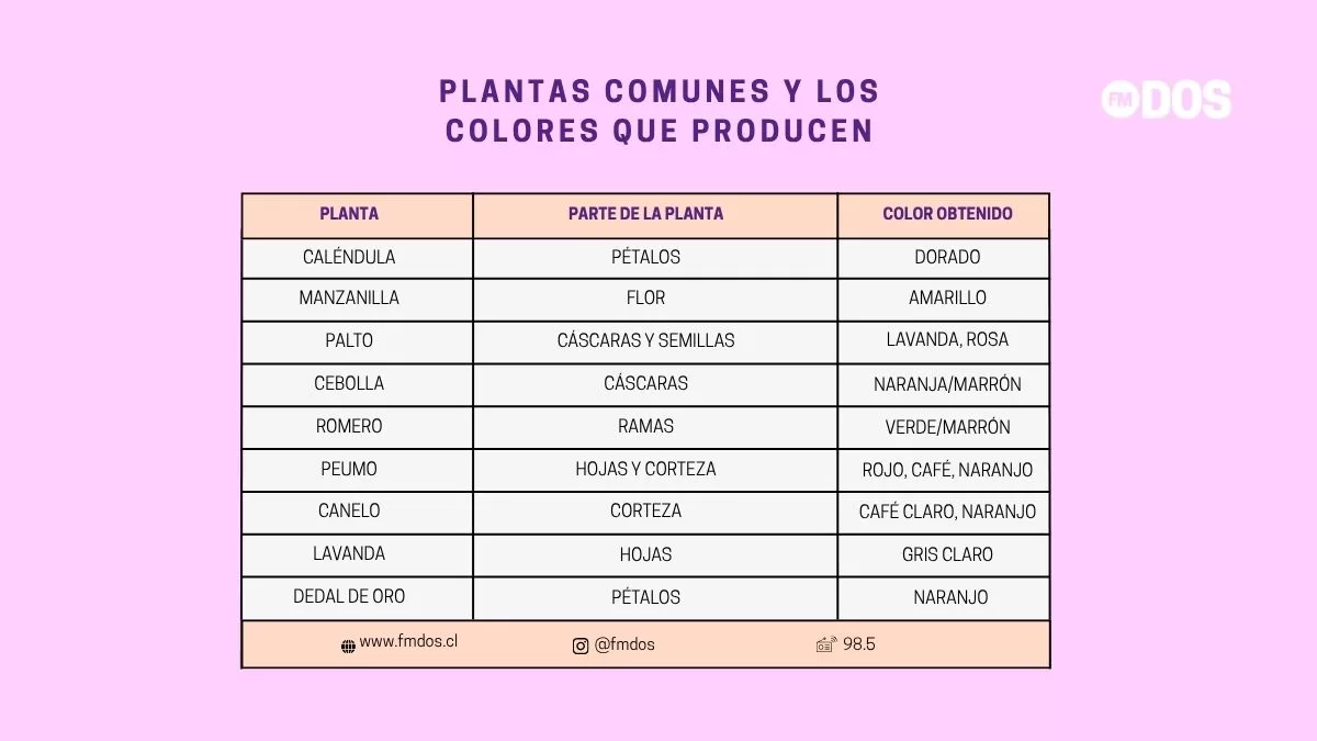 Cómo Teñir Ropa Con Plantas (3)