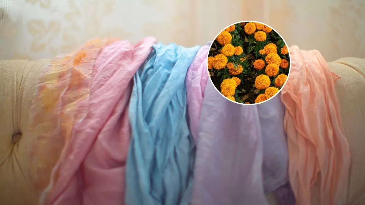 Cómo teñir ropa con plantas de tu jardín en Chile: guía paso a paso del proceso