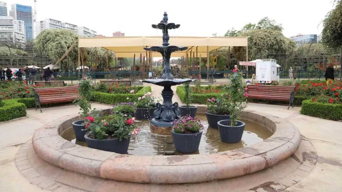 Festival De La Rosa (1)