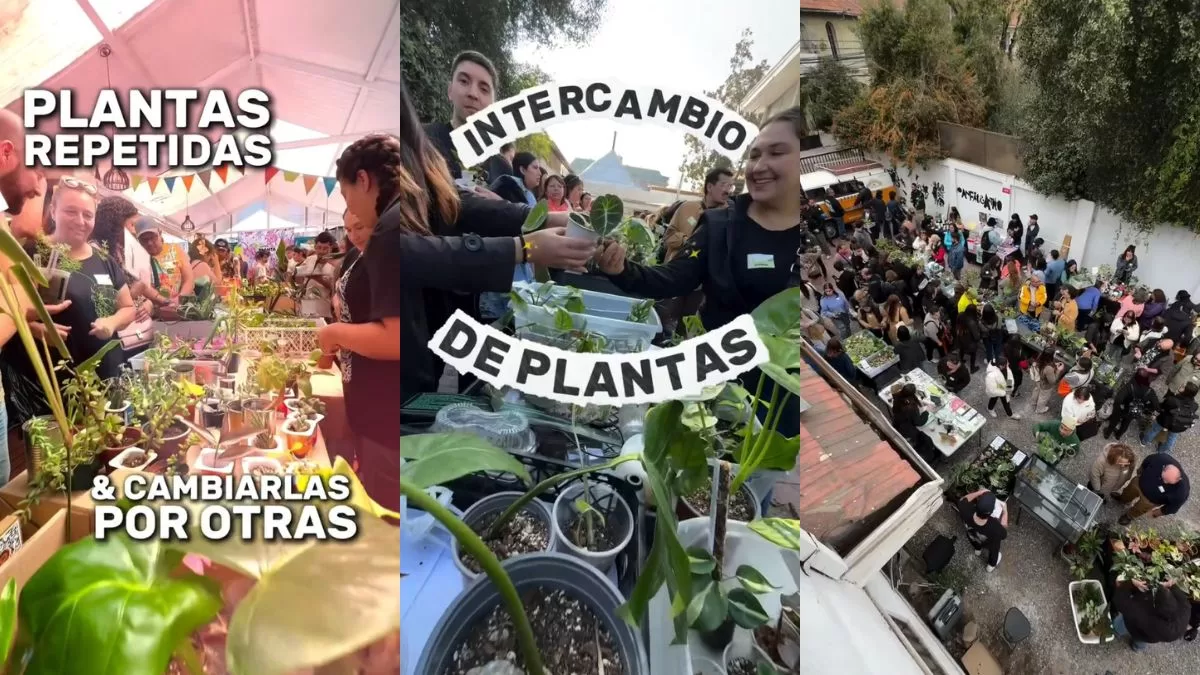 Panorama En Santiago (1)