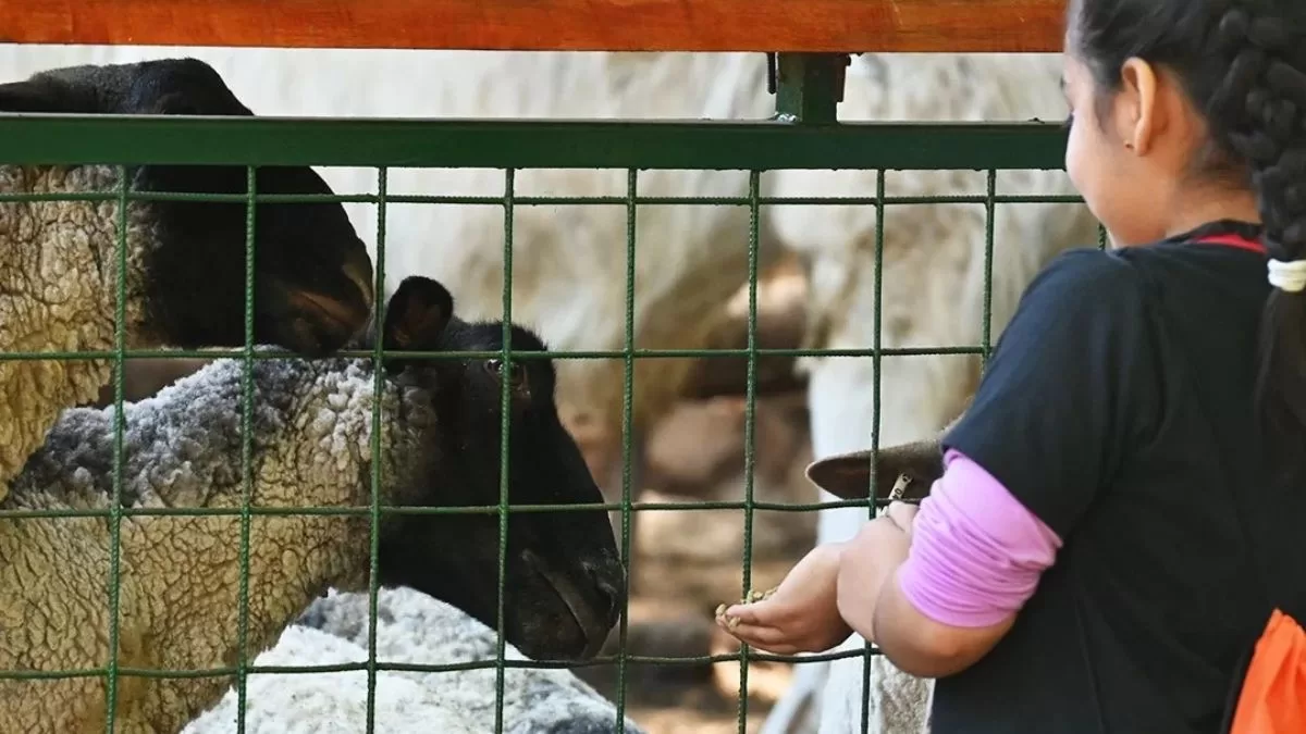 Panoramas Fin De Semana (3)