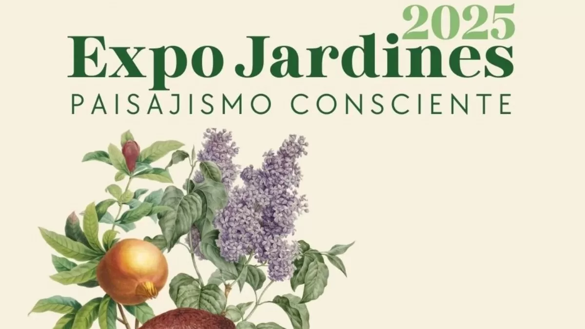 Panoramas Fin De Semana (5)