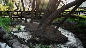 Parque Guay Guay (1)