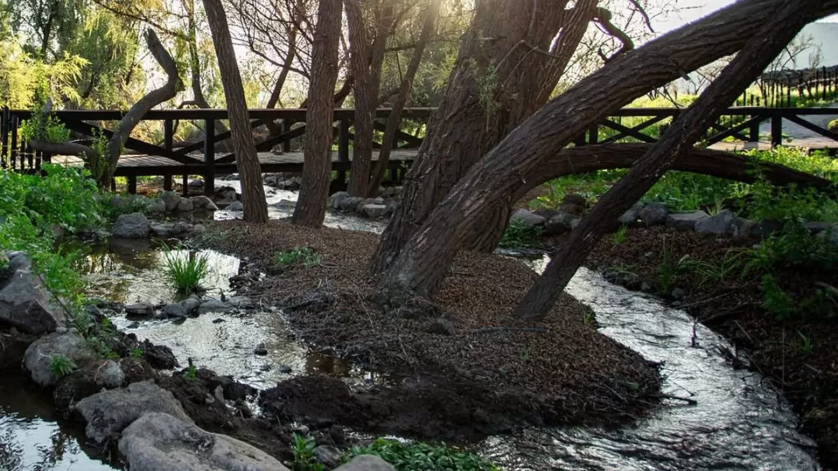 Parque Guay Guay (1)