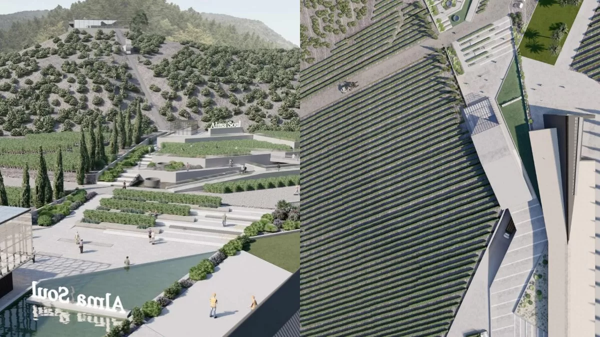 Viñas Alexis Sánchez (1)