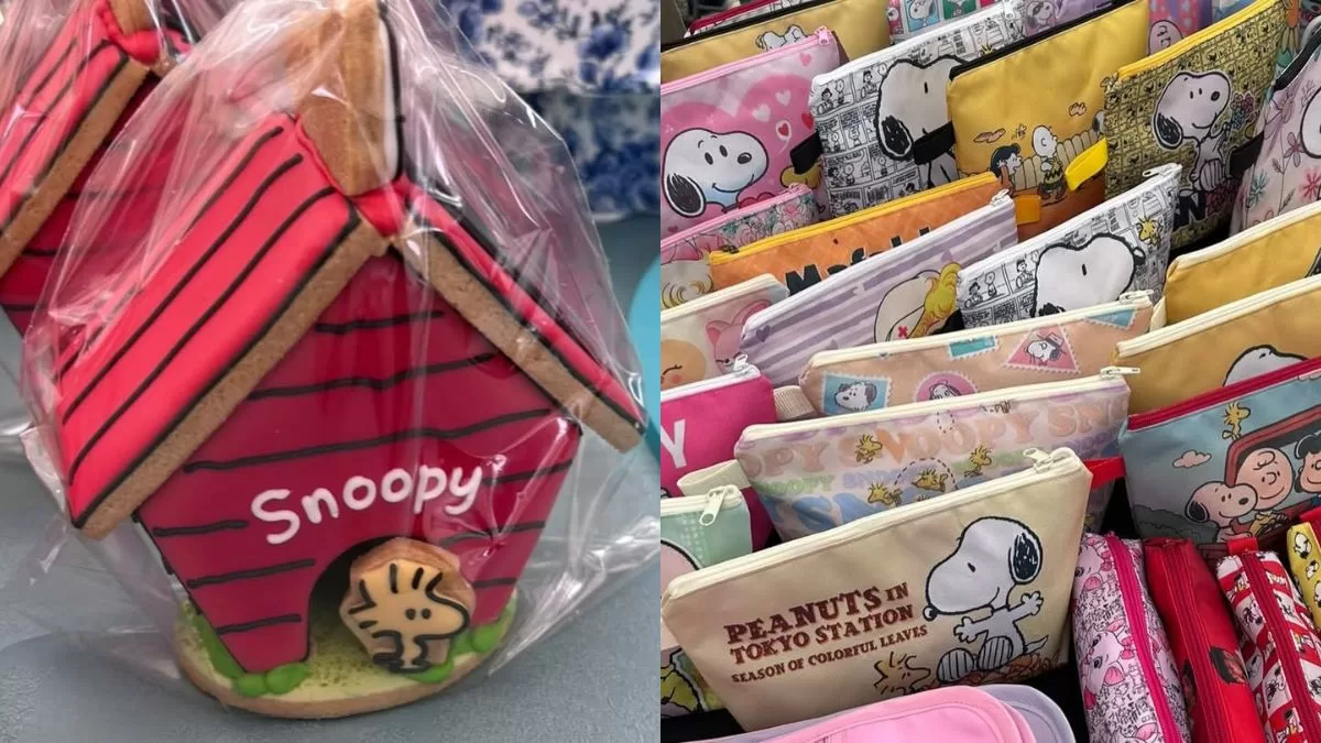 Si eres fanática de Snoopy y buscas panorama para el fin de semana de Halloween, tienes que ir a la Expo Santa Calabaza GRATIS en Santiago