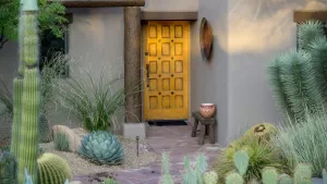 NO lo hagas: la planta que nunca deberías poner en la entrada de tu casa, según el Feng Shui