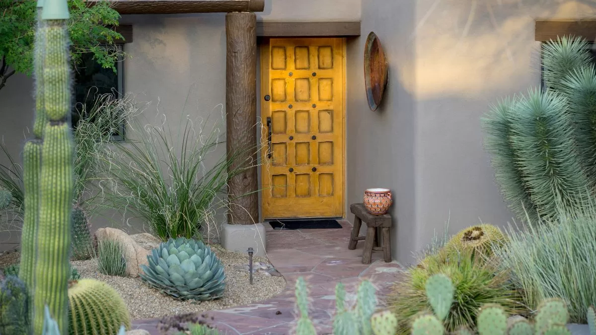 NO lo hagas: la planta que nunca deberías poner en la entrada de tu casa, según el Feng Shui
