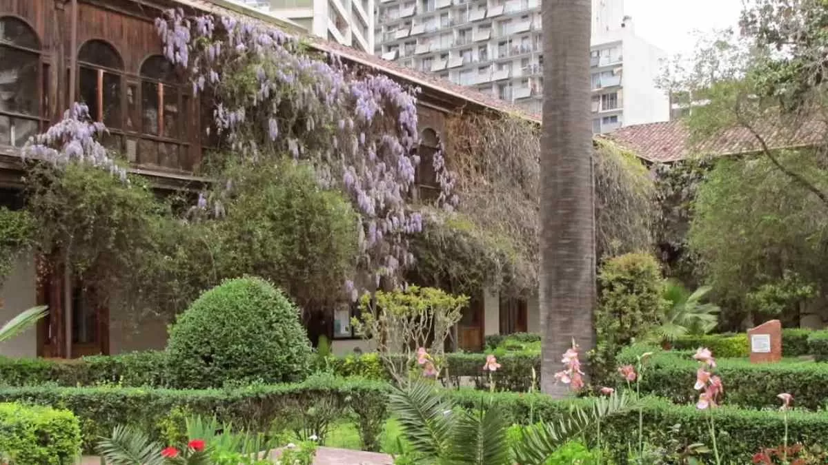 Festival Interno Verde (2)