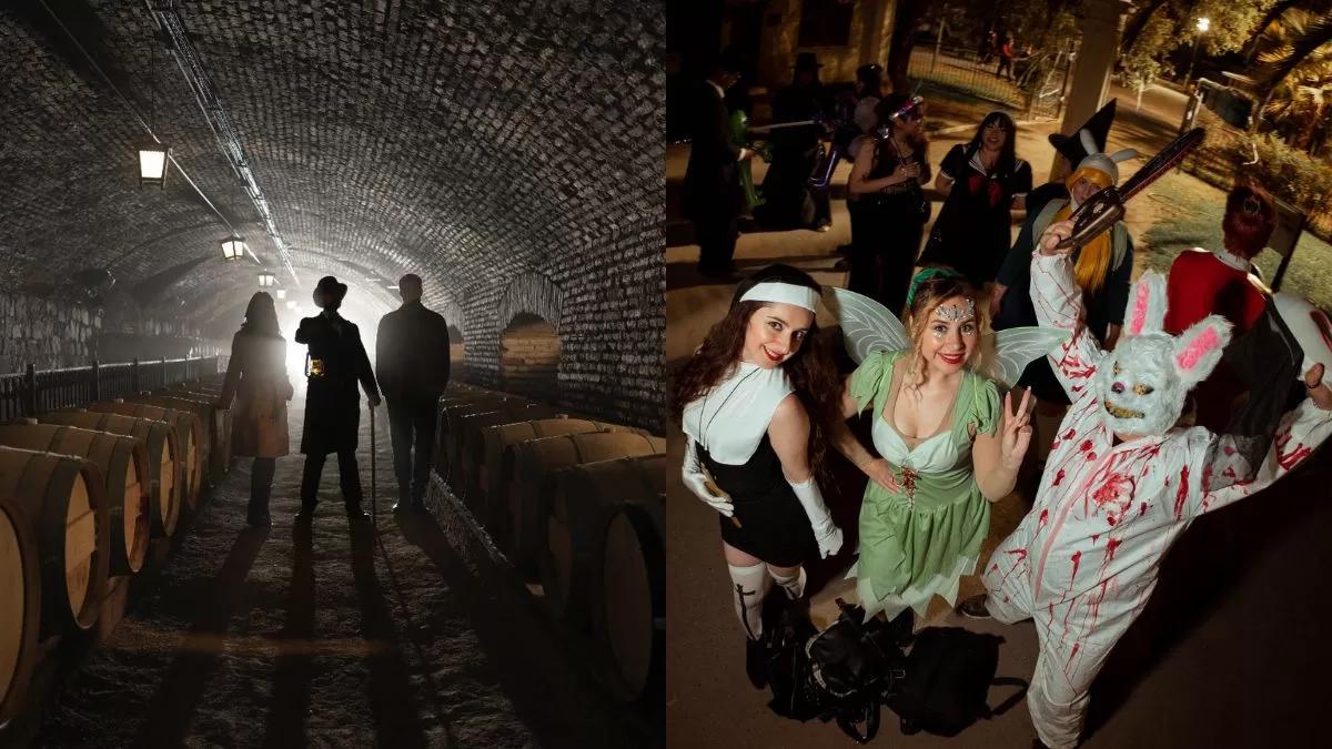 Halloween 2025: estos son los cinco mejores panoramas para disfrutar en grande la Noche de Brujas en Santiago