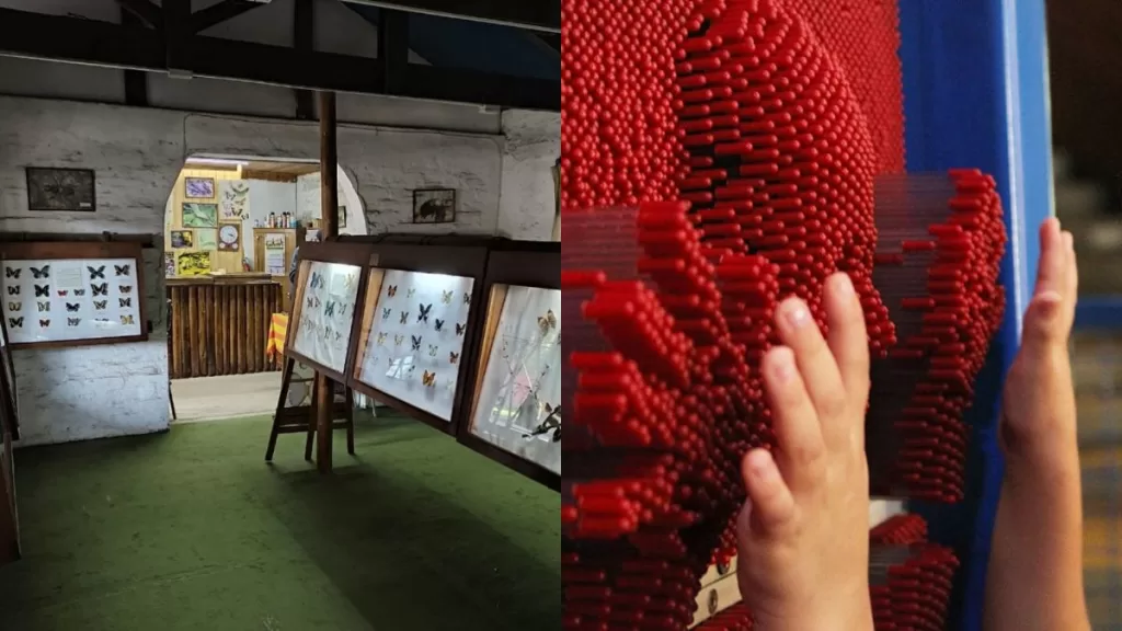 Museo Insectario Mim