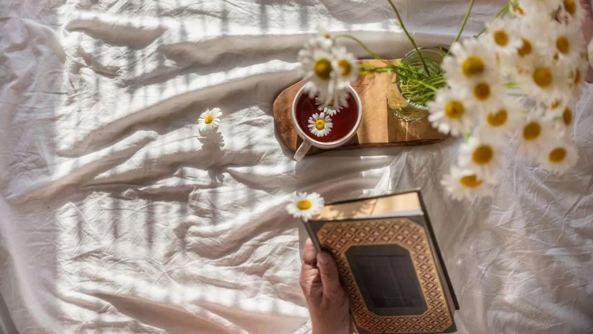 Soy fanática de los libros y estas son las mejores cinco novelas románticas para adultos que te recomiendo