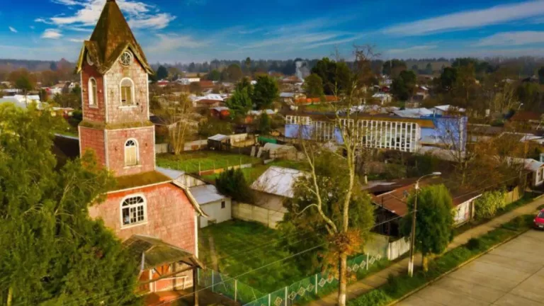¡Fin al misterio! Zoólogo aclara qué es el extraño cuerpo encontrado en el pueblo de Reumén: la imagen impactó a los vecinos