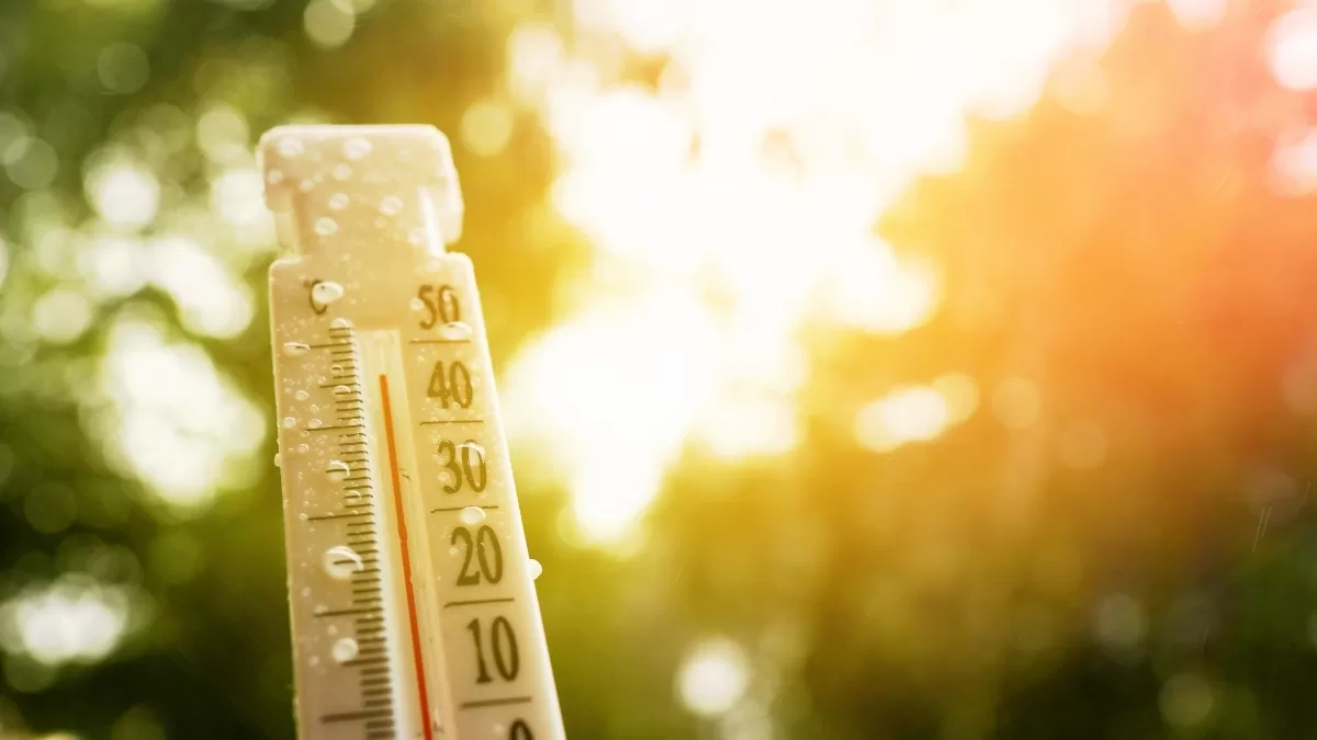 Anuncian altas temperaturas en cinco regiones del país: ¿Qué hacer ante esta alerta?