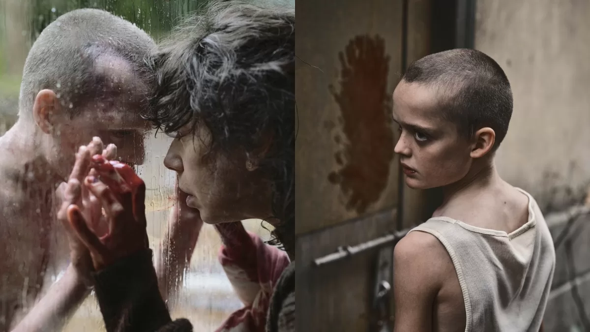 HBO Max: Estas son las nuevas películas que llegan a la plataforma de streaming en noviembre