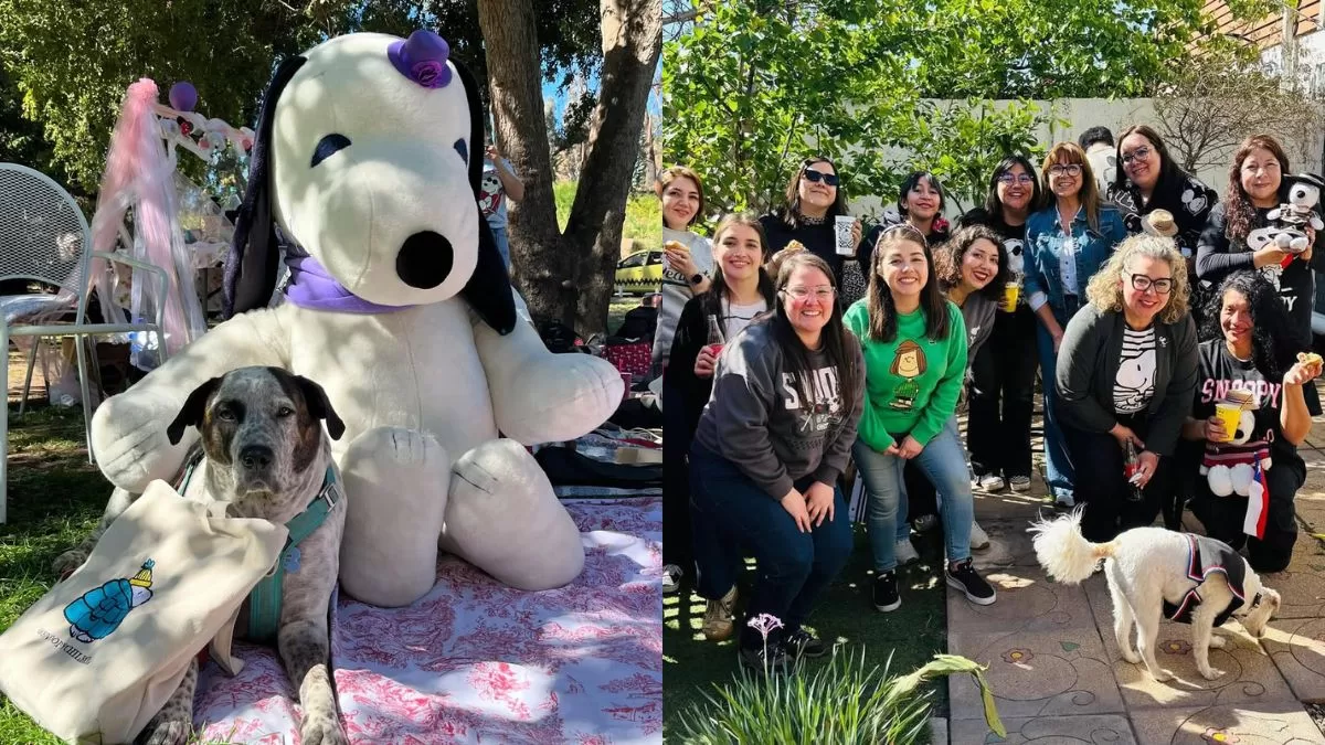 Panorama Puente Alto (2)