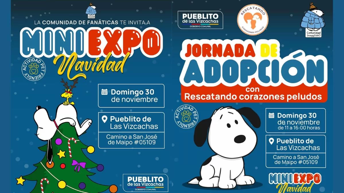 Panorama Puente Alto (3)