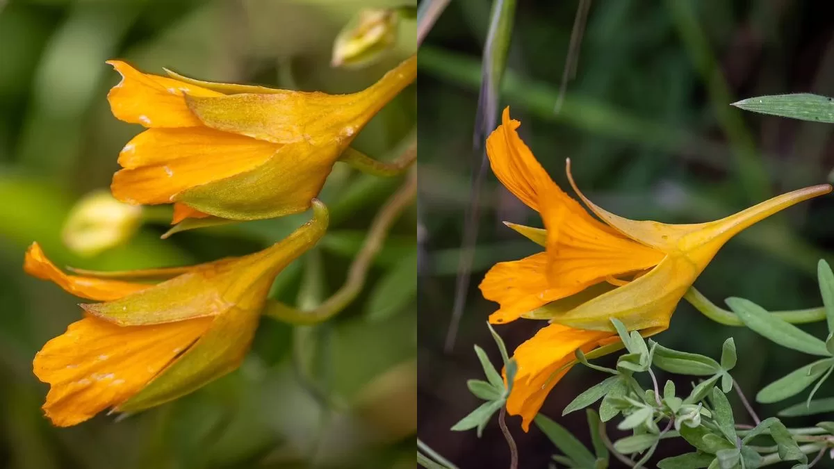 Panoramas Santiago (2)