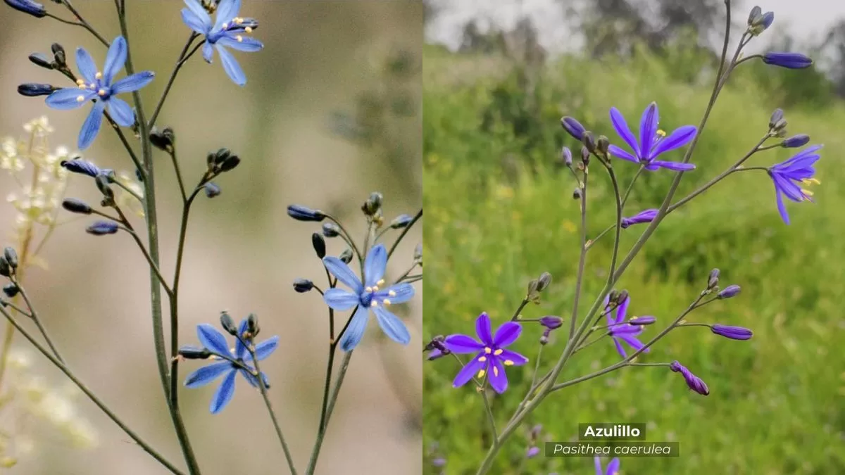 Panoramas Santiago (3)