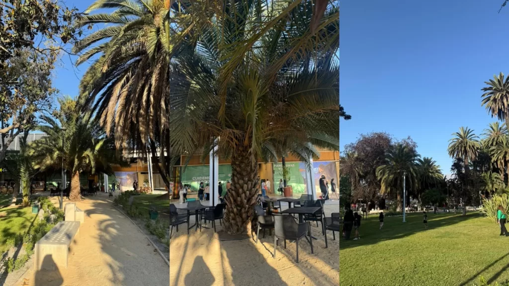 Parque Los Toros Puente Alto (1)