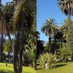 Parque Los Toros en Puente Alto: así es el nuevo pulmón verde abierto al público