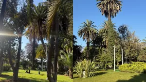 Parque Los Toros en Puente Alto: así es el nuevo pulmón verde abierto al público