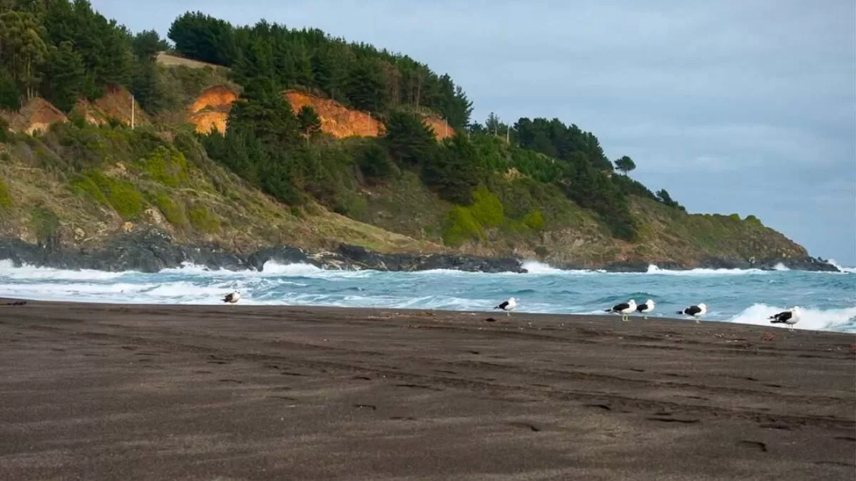 Visité una de las playas más espectaculares del sur de Chile y te cuento el mejor horario para ir