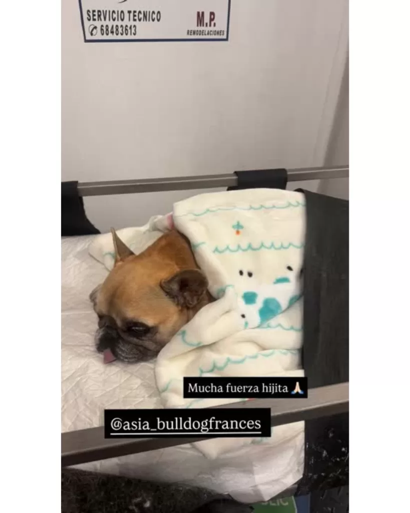 Adriana Barrientos (3)