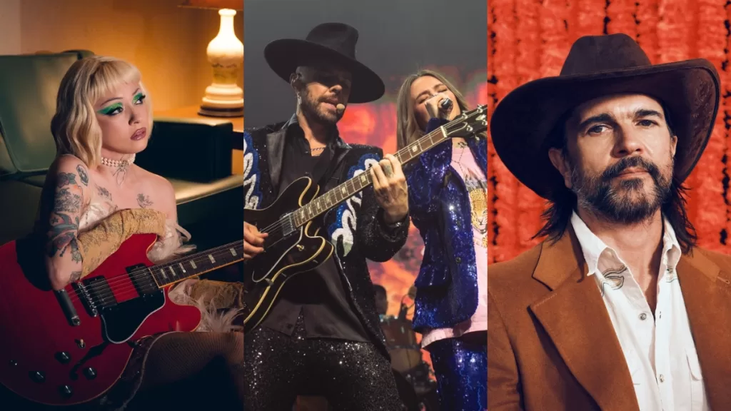 Festival De Viña 2025 (1)