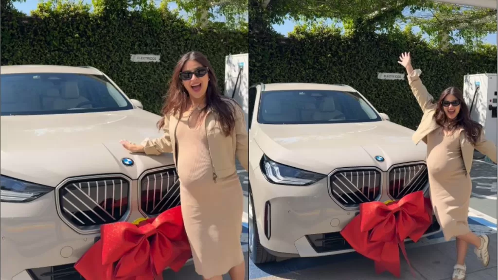 Ignacia Antonia Tiktok Criticas Lujoso Auto