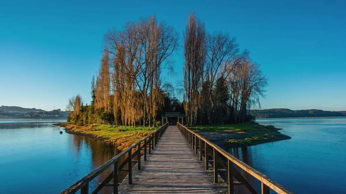 Isla De Las Almas Navegantes