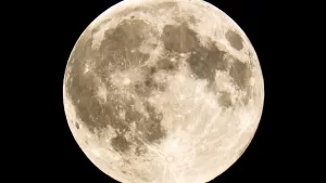 Mim Noche Lunar