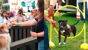 ParquePet 2025: cómo obtener entradas, actividades y todos los detalles del imperdible evento para mascotas en Santiago