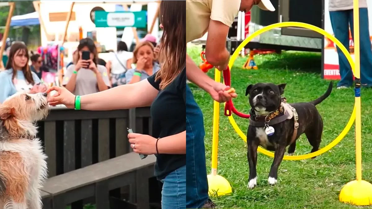 ParquePet 2025: cómo obtener entradas, actividades y todos los detalles del imperdible evento para mascotas en Santiago