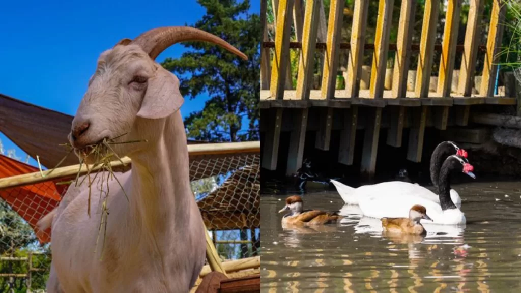 Pueblito De Las Vizcachas (2)