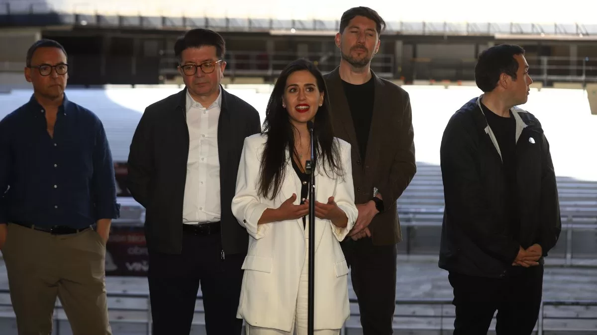 Festival De Viña (3)