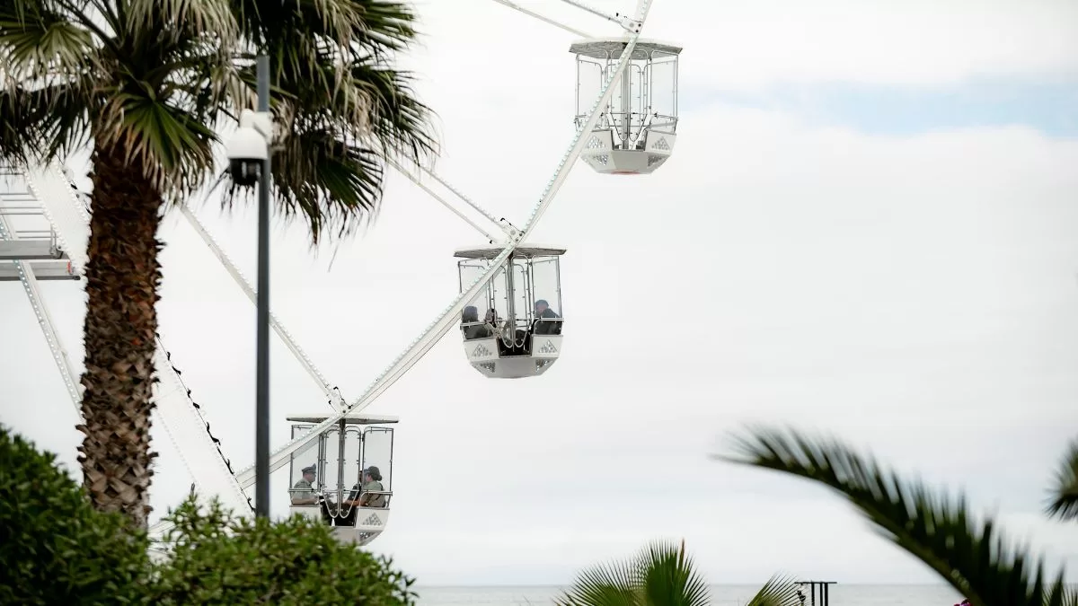 La Gran Rueda Viña Del Mar (4)