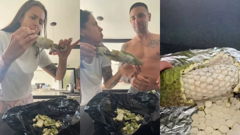 Pareja prueba uno de los frutos más extraños y su sabor los enamora: es de una planta muy conocida en Chile