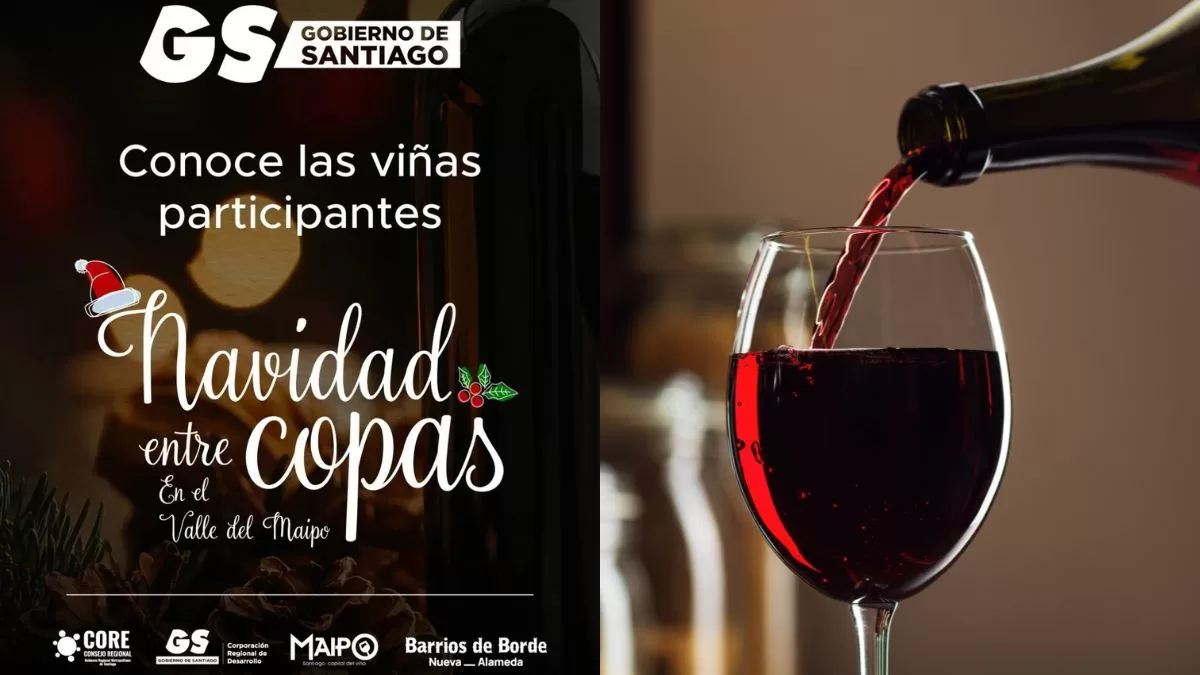 Panoramas En Santiago (2)