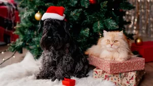 Navidad y Año Nuevo: cómo celebrar las fiestas junto a tus perros y gatos