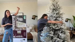 "Impagable" y "No vale la pena": joven chilena enfrenta críticas tras comprar un árbol de Navidad de más de 700 mil pesos