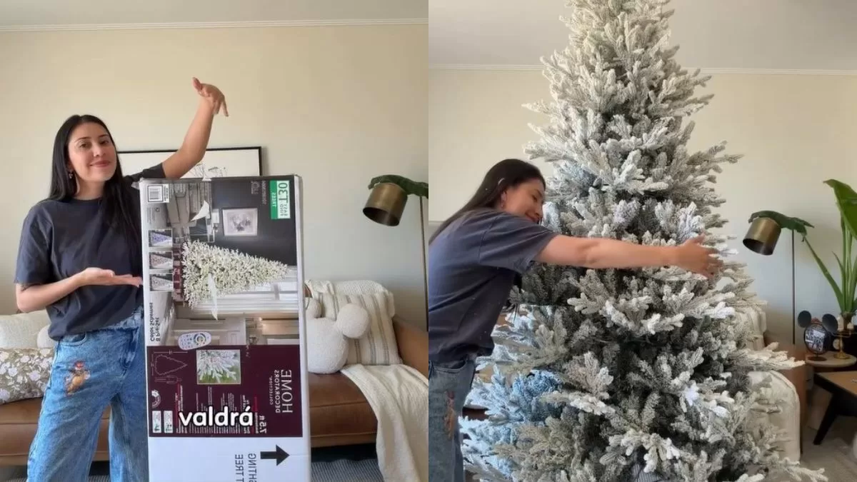 "Impagable" y "No vale la pena": joven chilena enfrenta críticas tras comprar un árbol de Navidad de más de 700 mil pesos
