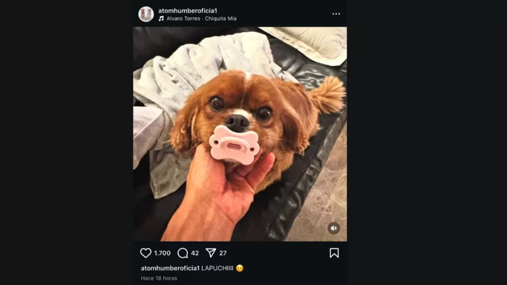 Perrita Alexandra Litvinova 1