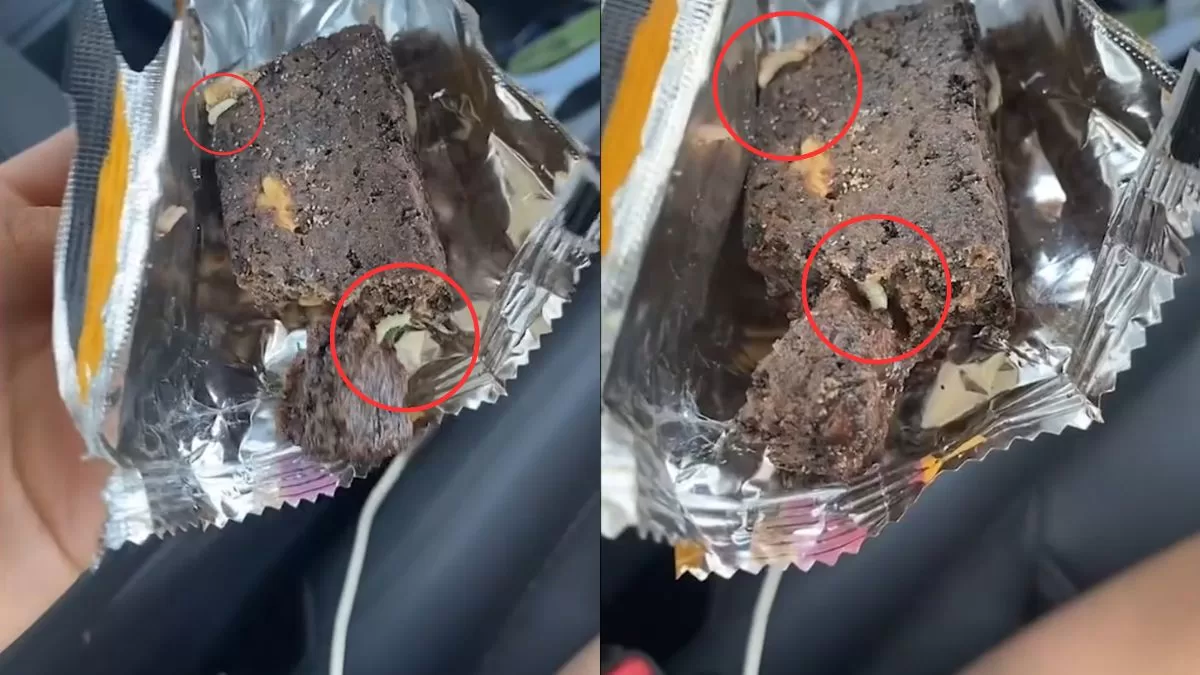 Barra De Proteínas Gusano